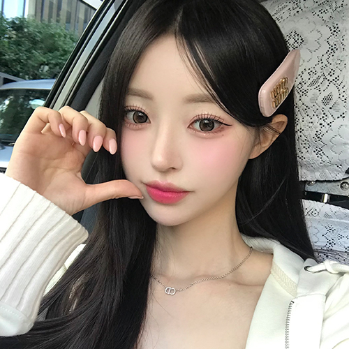 이미지 캡션