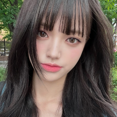 이미지 캡션